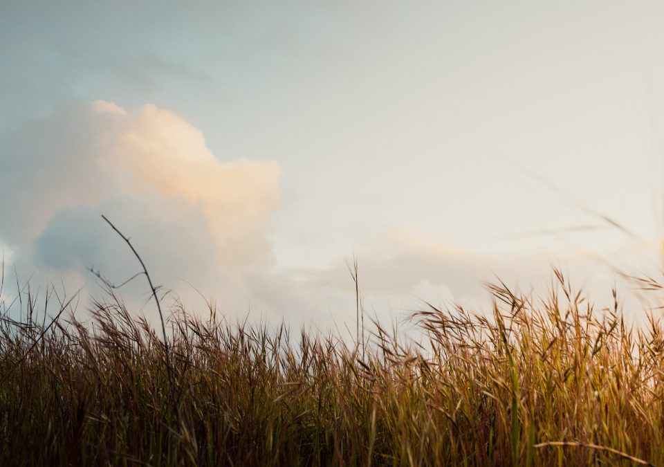 Nour følger drømmen om å bli sykepleier