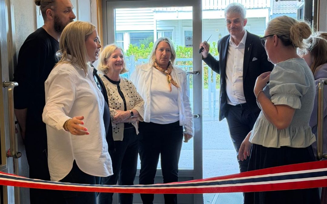 Tilrettelagt arbeid som styrker omsorgstjenestene